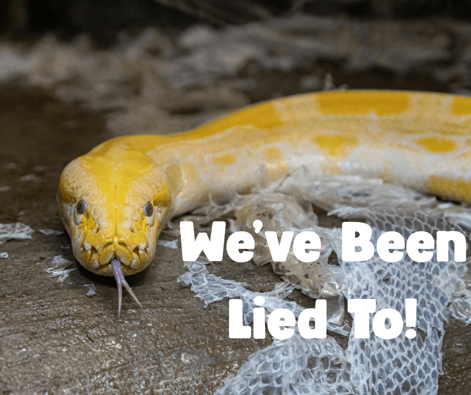 We’ve Been Lied&nbsp;To!